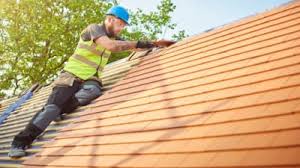 Best Roof Maintenance and Cleaning  in Milford, DE