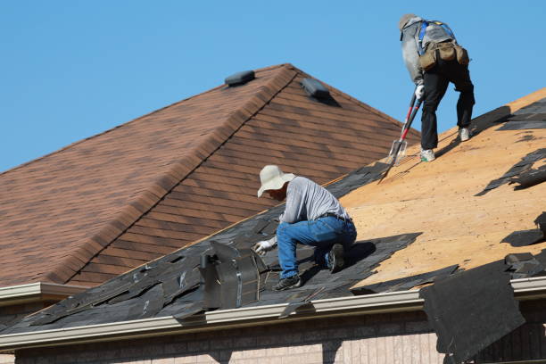 Best Solar Panel Roofing Installation  in Milford, DE